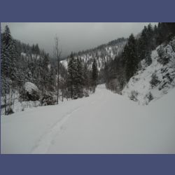 2013-02-02_Rappinschlucht_Lainlalm (113).jpg